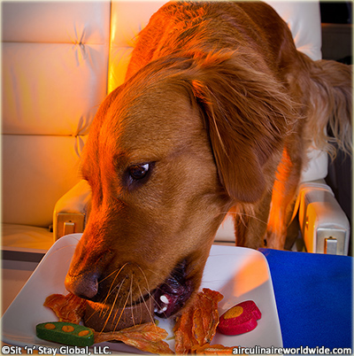 inflight catering for pets