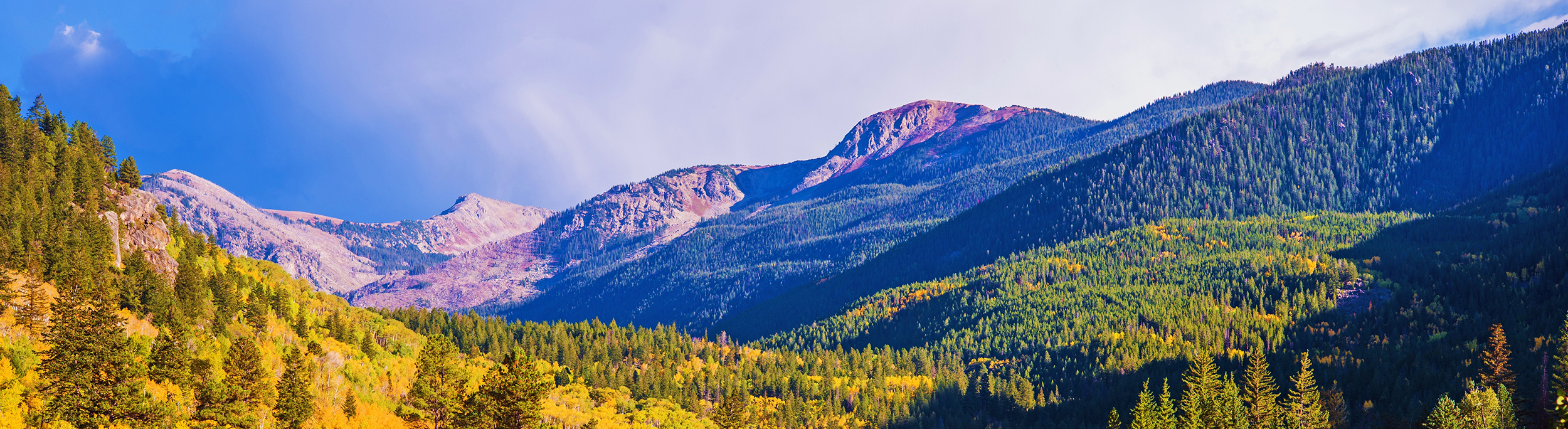 Inflight Catering Aspen